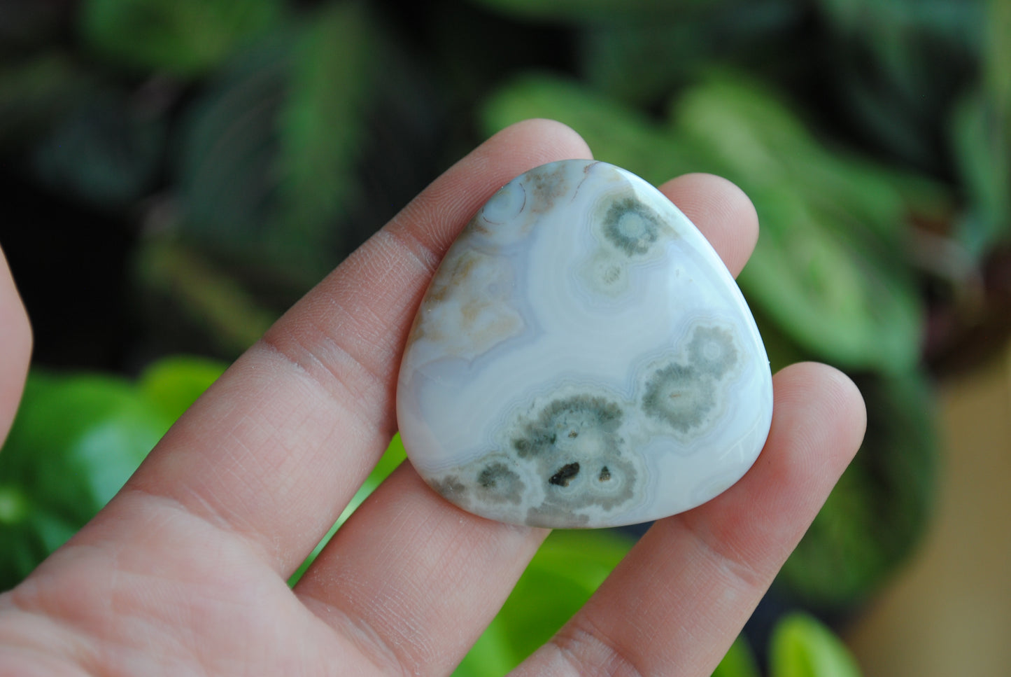 40mm trillion Ocean Jasper cabochon
