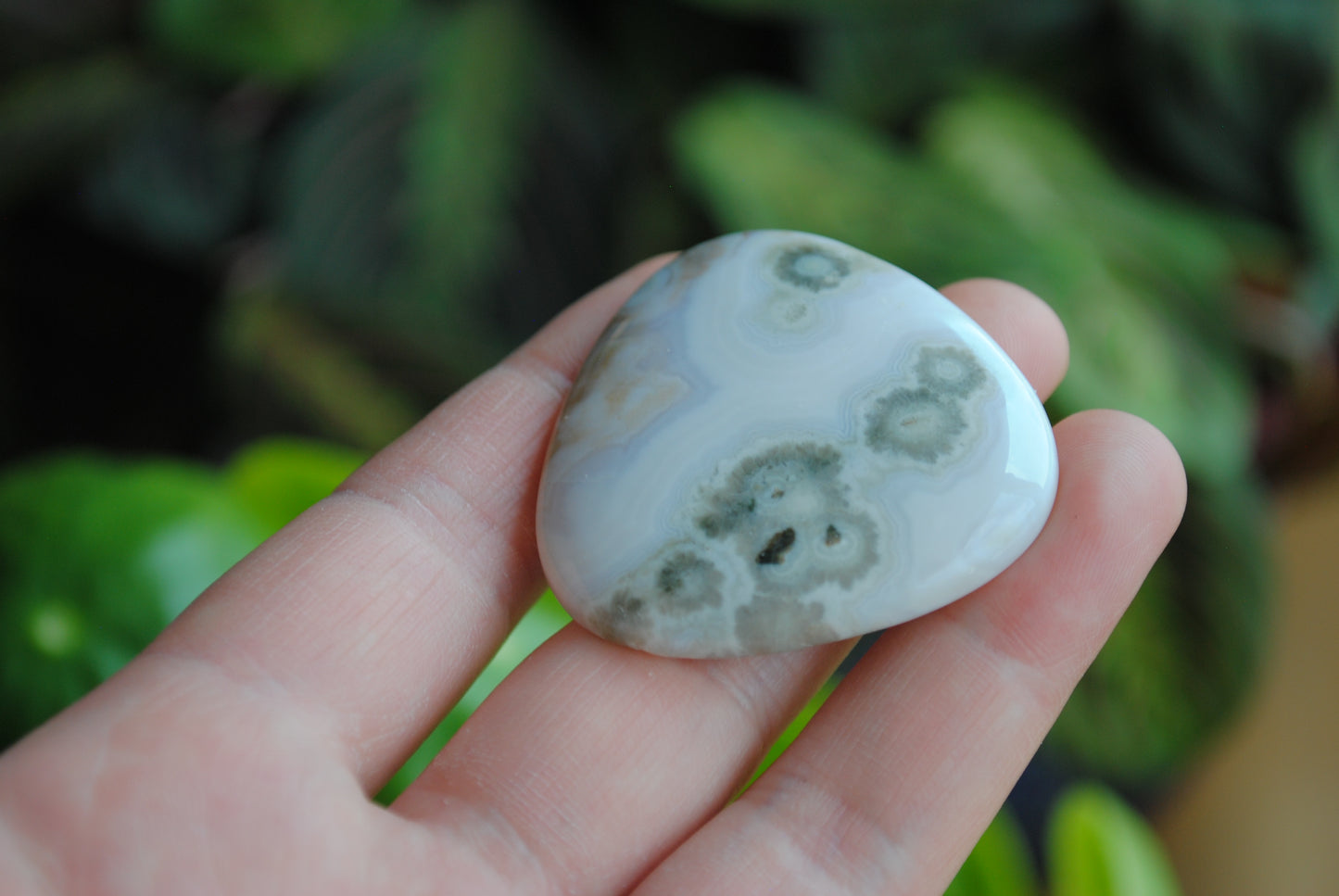 40mm trillion Ocean Jasper cabochon