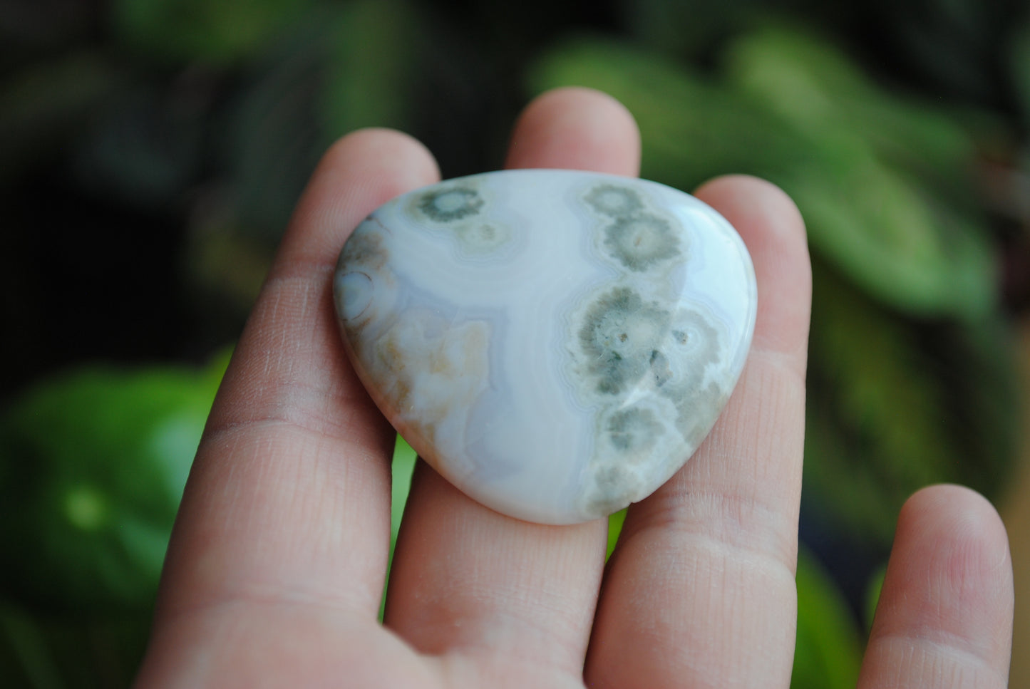 40mm trillion Ocean Jasper cabochon