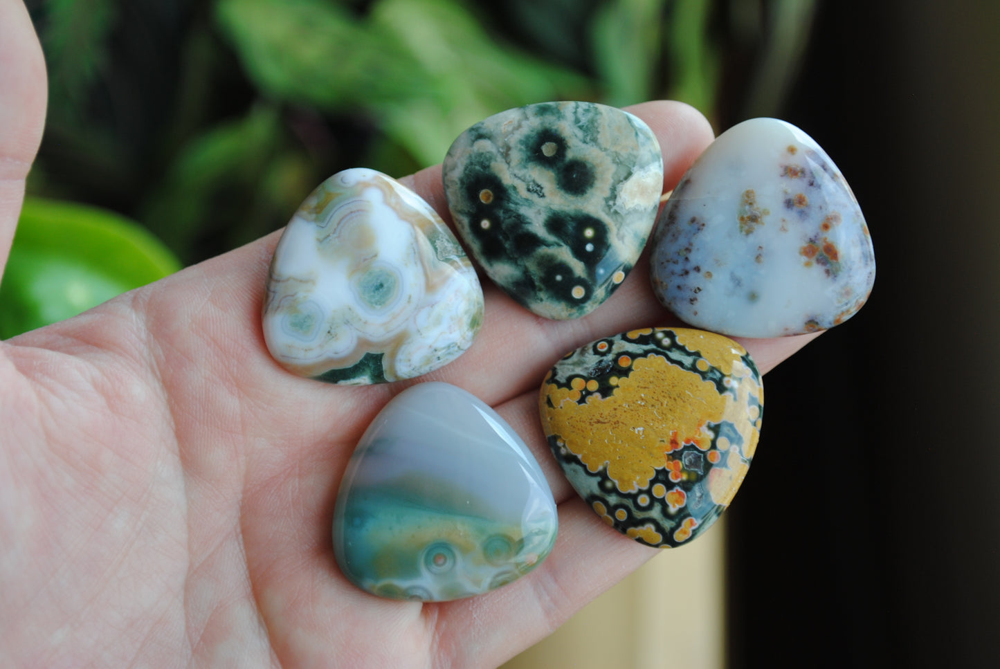 30mm trillion Ocean Jasper cabochons (Lot B)