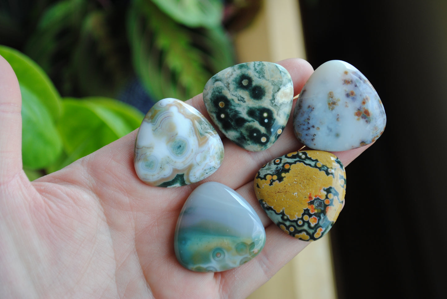 30mm trillion Ocean Jasper cabochons (Lot B)