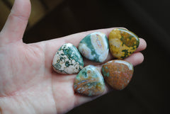 30mm trillion Ocean Jasper cabochons (Lot C)