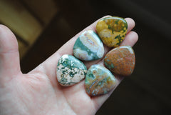 30mm trillion Ocean Jasper cabochons (Lot C)