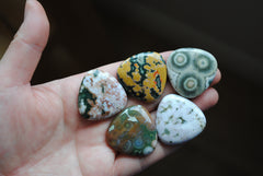 30mm trillion Ocean Jasper cabochons (Lot A)
