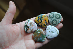 30mm trillion Ocean Jasper cabochons (Lot A)