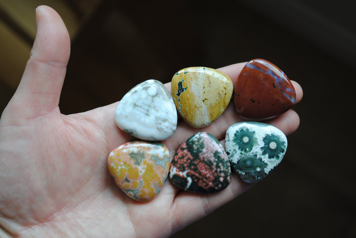 30mm trillion Ocean Jasper cabochons (Lot D)