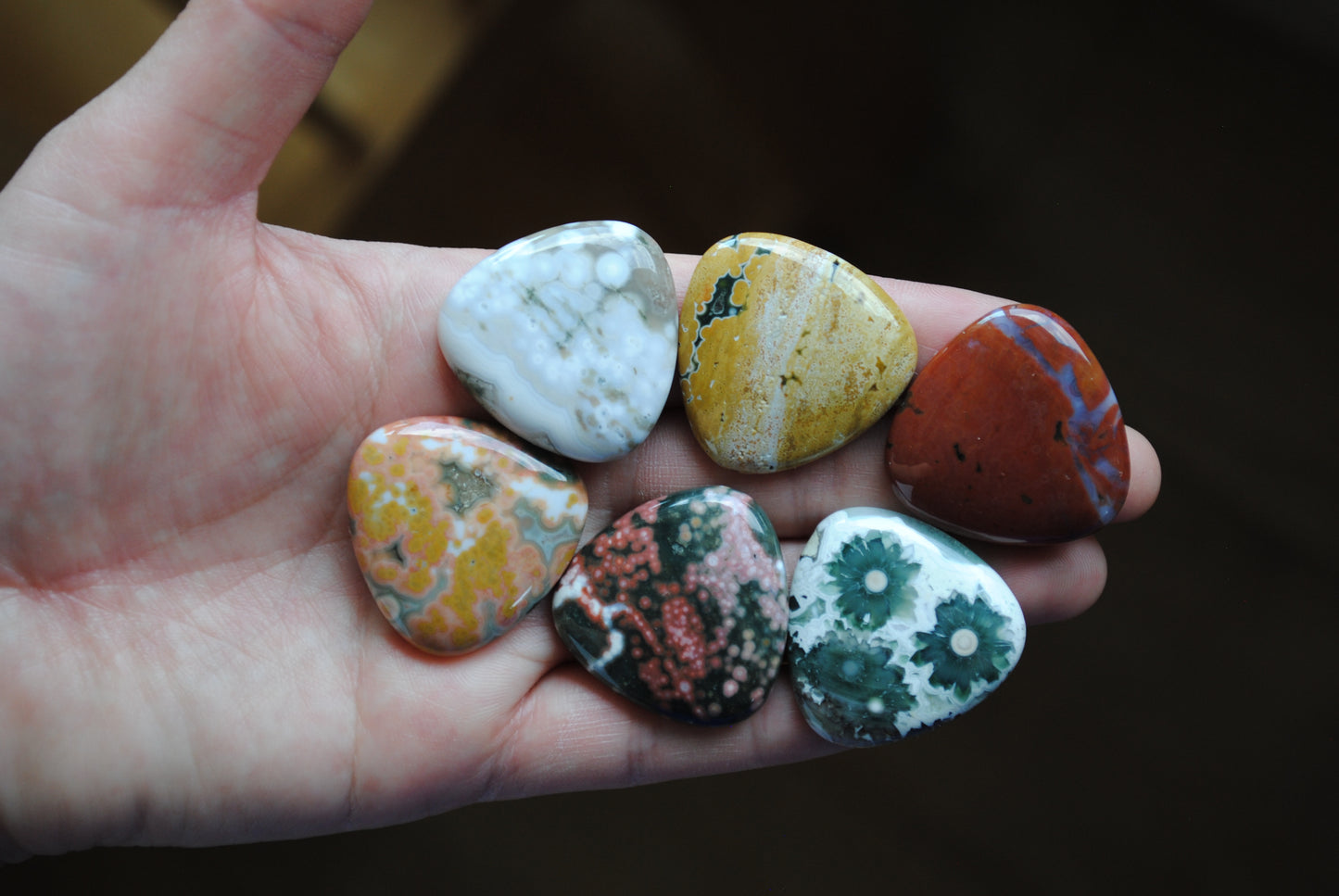 30mm trillion Ocean Jasper cabochons (Lot D)