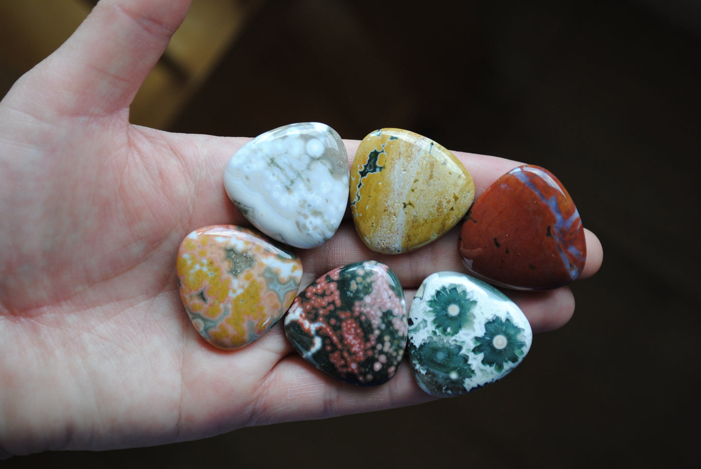 30mm trillion Ocean Jasper cabochons (Lot D)
