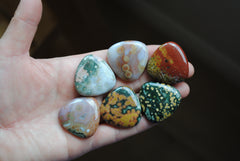 30mm trillion Ocean Jasper cabochons (Lot F)