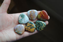 30mm trillion Ocean Jasper cabochons (Lot F)