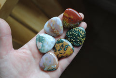 30mm trillion Ocean Jasper cabochons (Lot F)