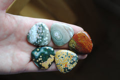 30mm trillion Ocean Jasper cabochons (Lot F)