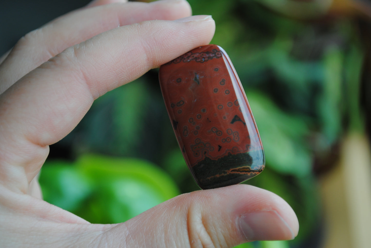 Rectangle 40x22mm Ocean Jasper cabochon