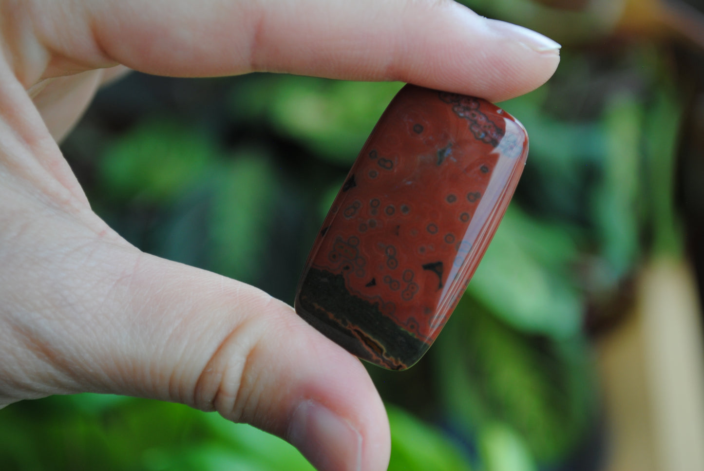 Rectangle 40x22mm Ocean Jasper cabochon