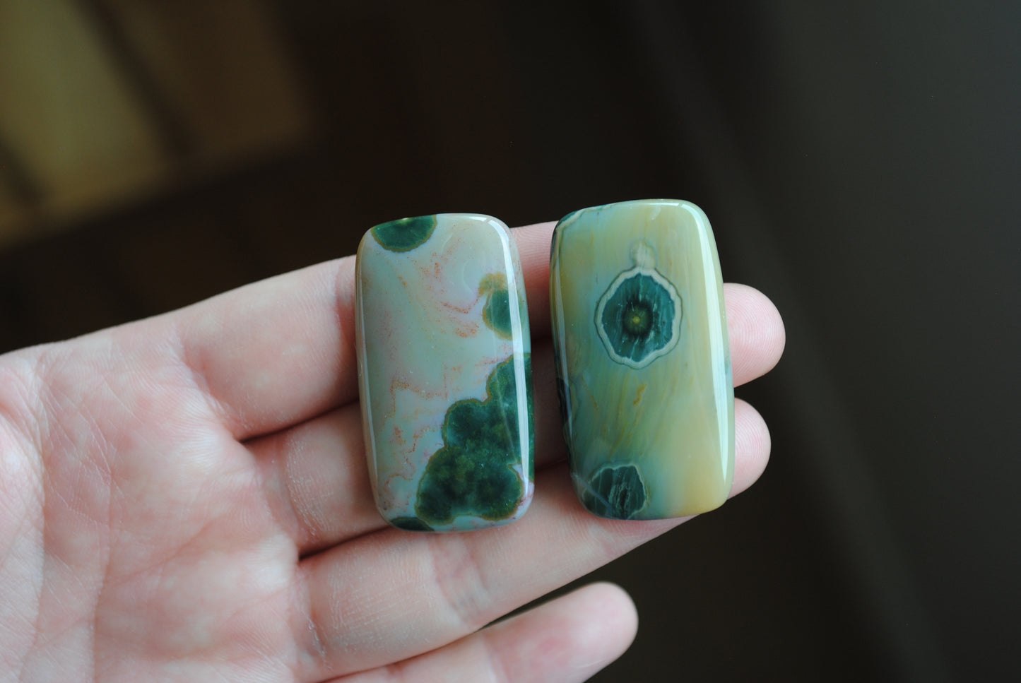 Rectangle 40x22mm Ocean Jasper cabochons