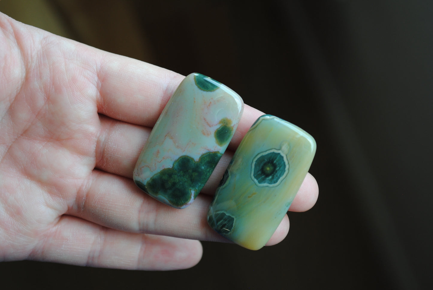 Rectangle 40x22mm Ocean Jasper cabochons
