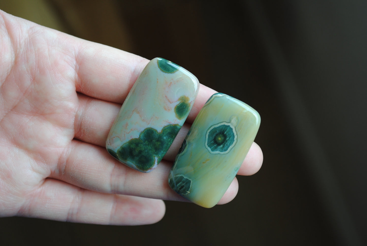 Rectangle 40x22mm Ocean Jasper cabochons