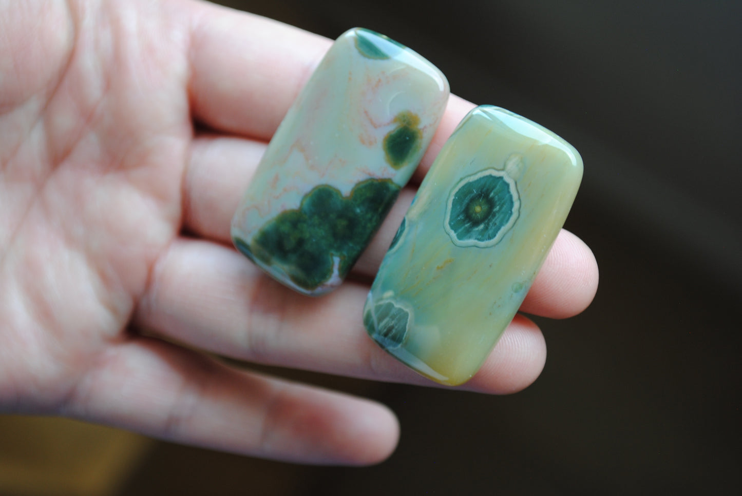 Rectangle 40x22mm Ocean Jasper cabochons