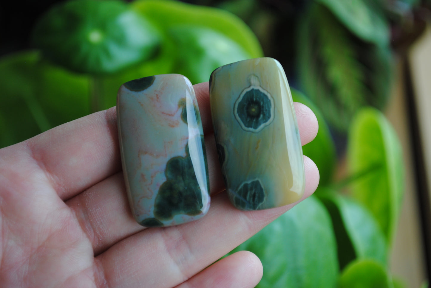 Rectangle 40x22mm Ocean Jasper cabochons
