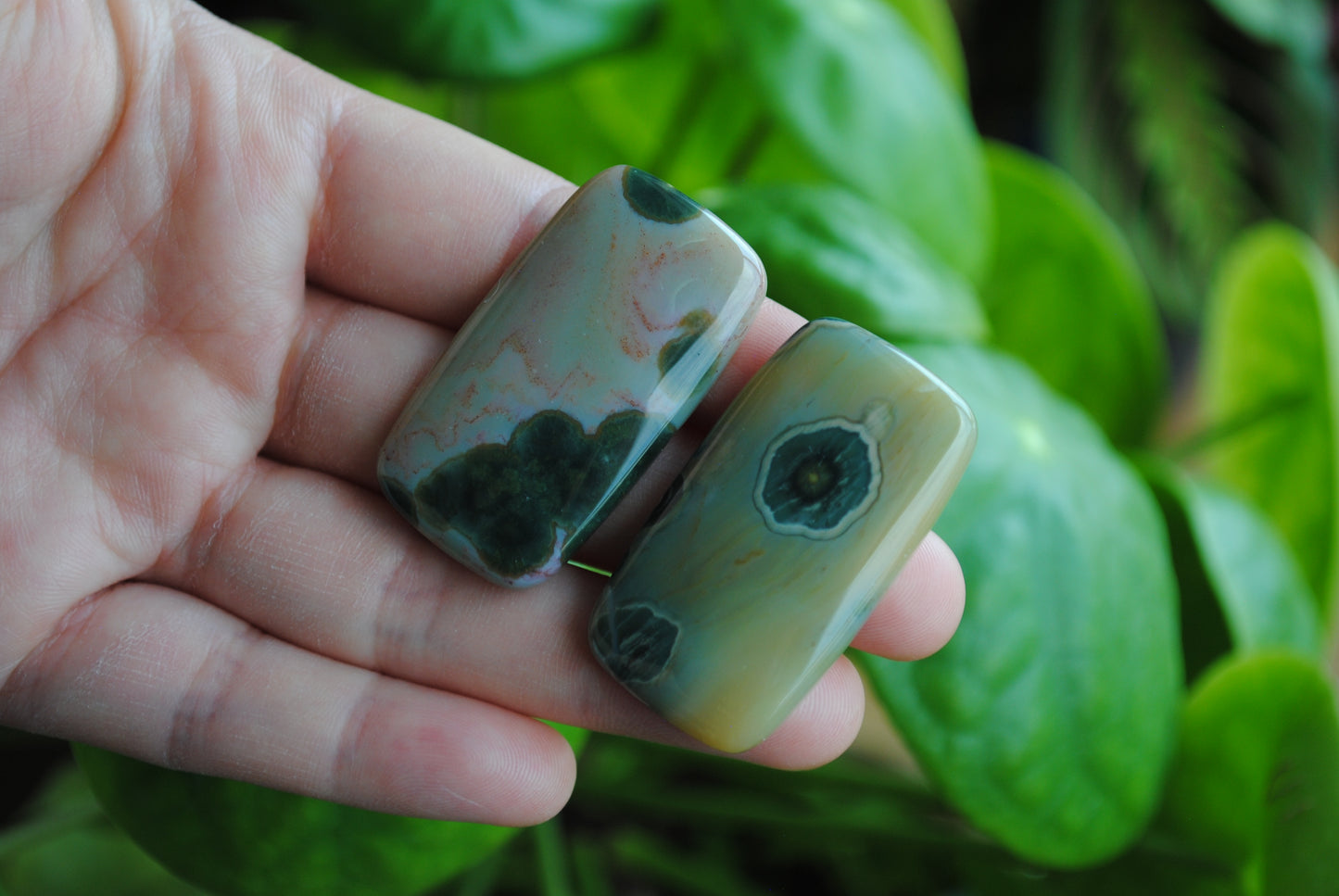 Rectangle 40x22mm Ocean Jasper cabochons