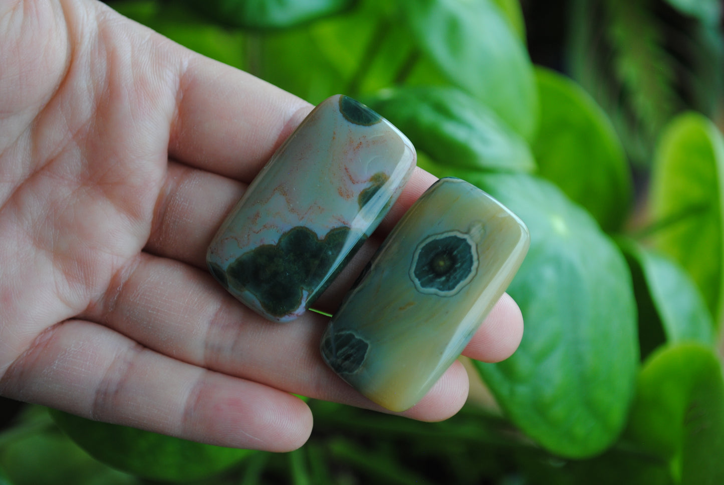 Rectangle 40x22mm Ocean Jasper cabochons