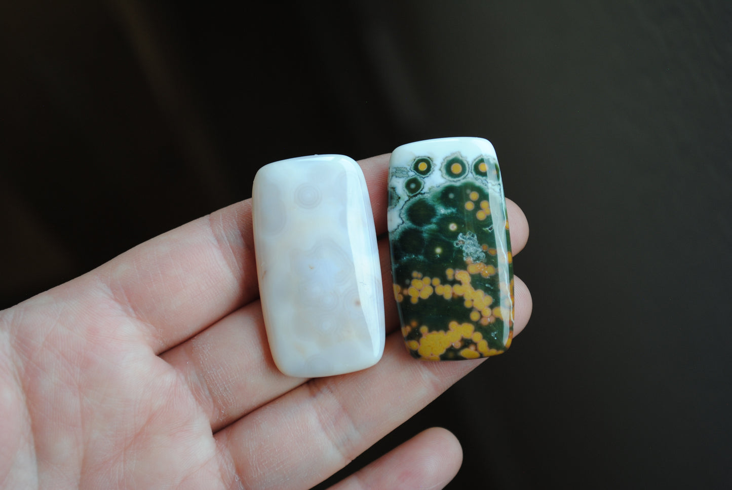 Rectangle 40x22mm Ocean Jasper cabochons