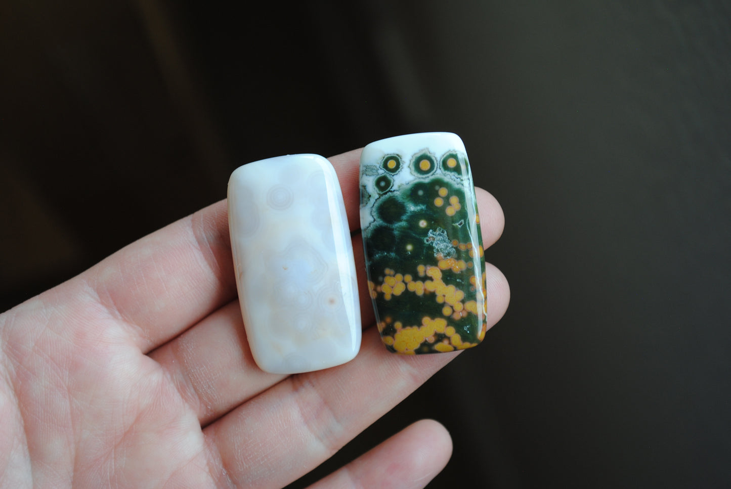 Rectangle 40x22mm Ocean Jasper cabochons