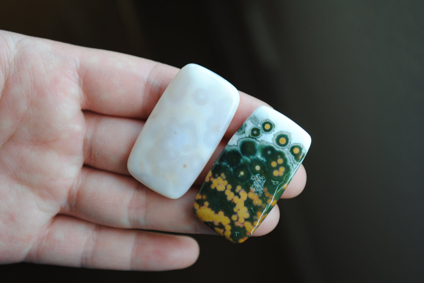 Rectangle 40x22mm Ocean Jasper cabochons