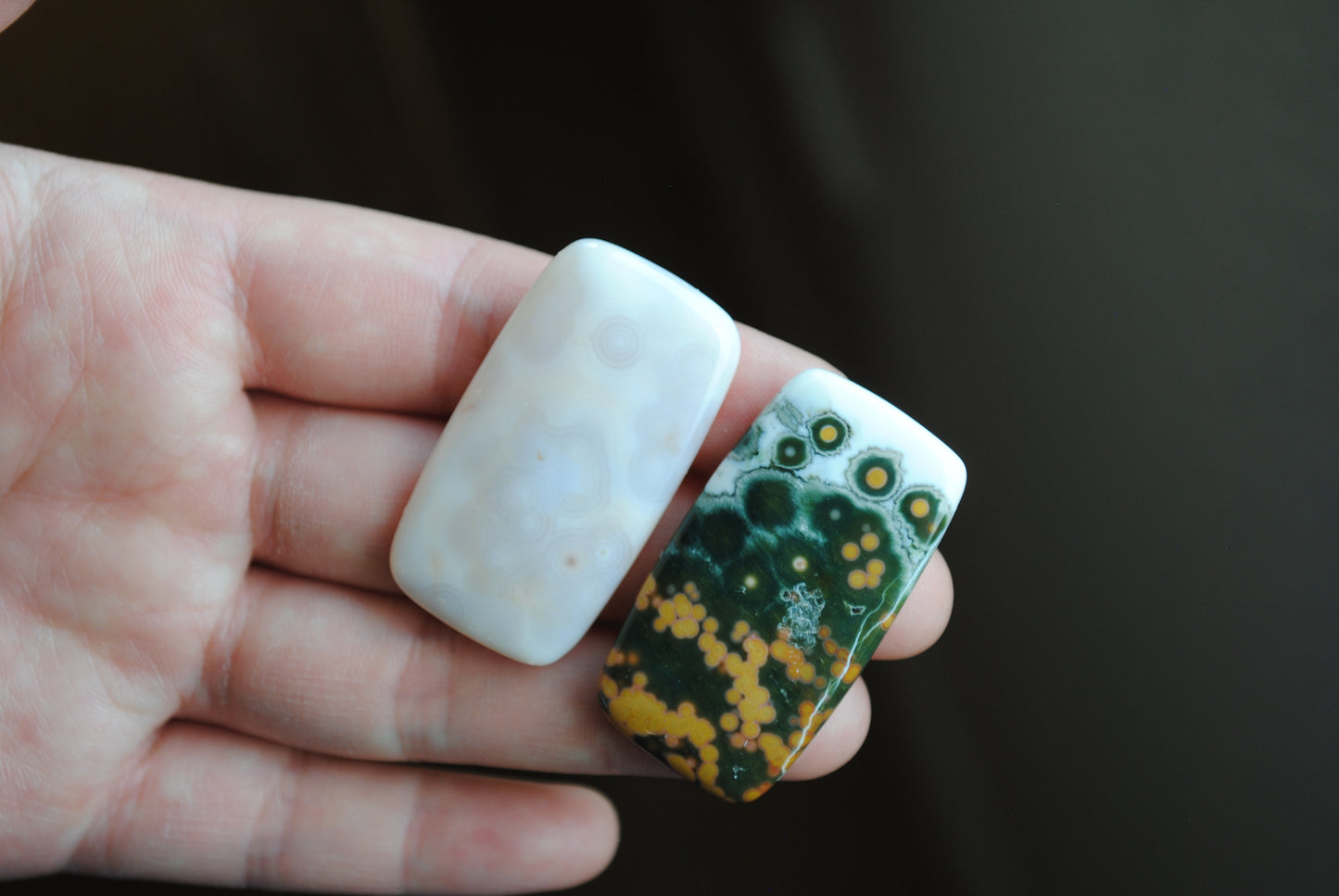 Rectangle 40x22mm Ocean Jasper cabochons