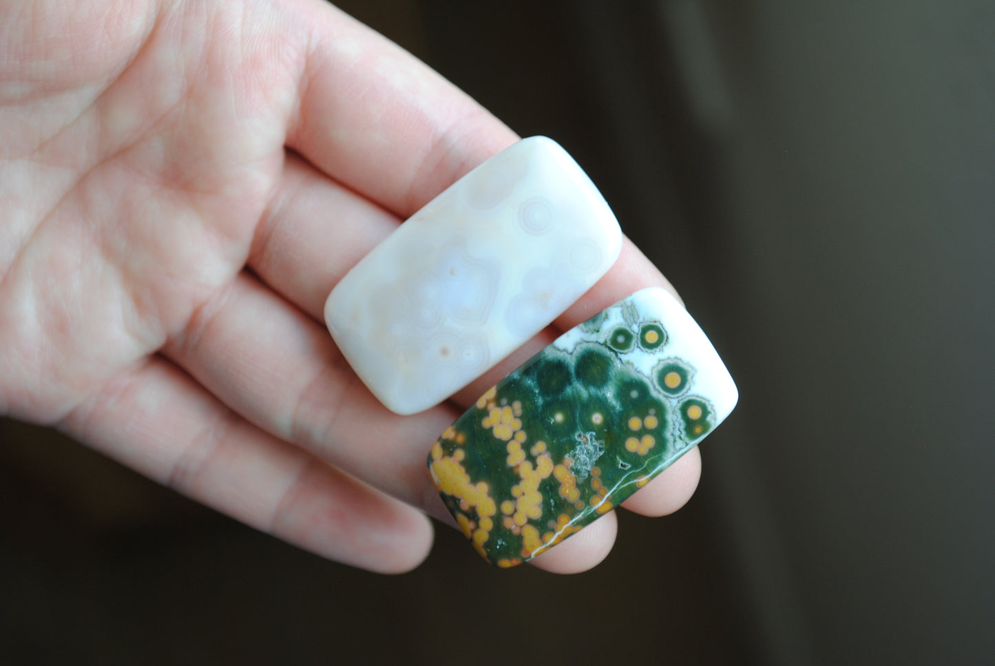 Rectangle 40x22mm Ocean Jasper cabochons