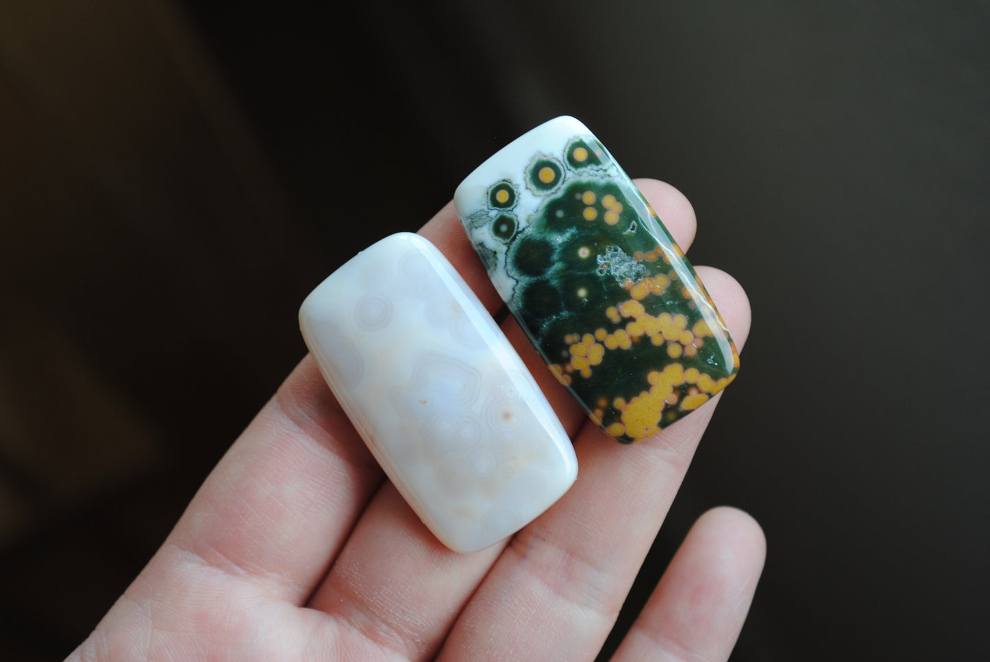 Rectangle 40x22mm Ocean Jasper cabochons
