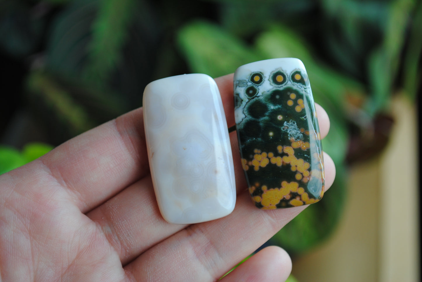 Rectangle 40x22mm Ocean Jasper cabochons
