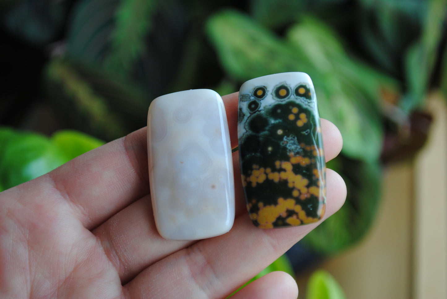 Rectangle 40x22mm Ocean Jasper cabochons