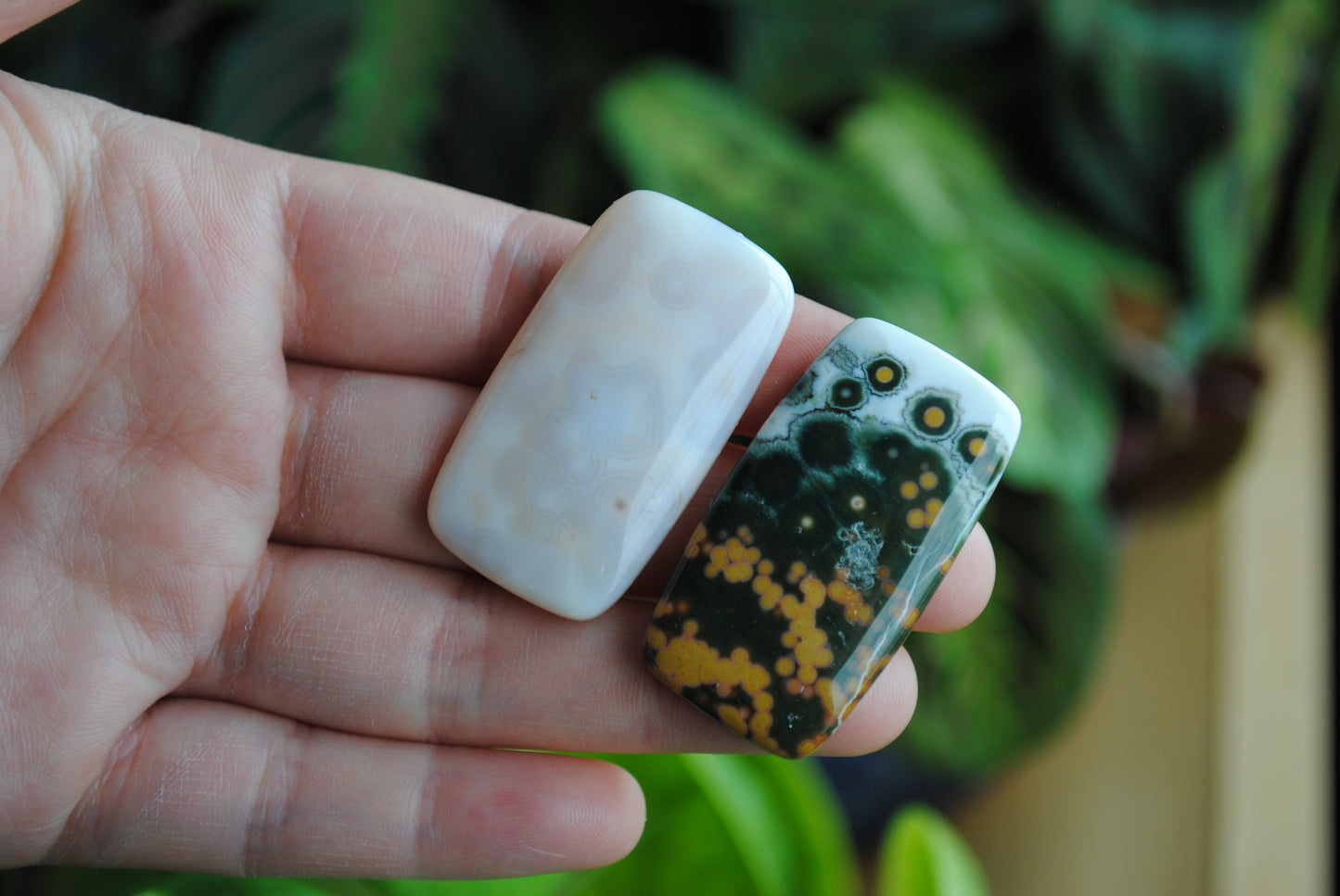 Rectangle 40x22mm Ocean Jasper cabochons