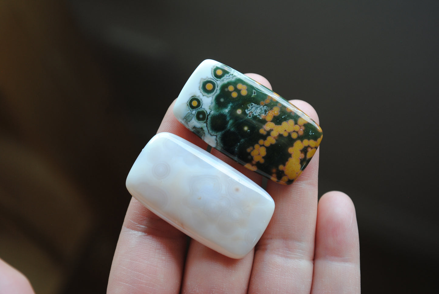 Rectangle 40x22mm Ocean Jasper cabochons