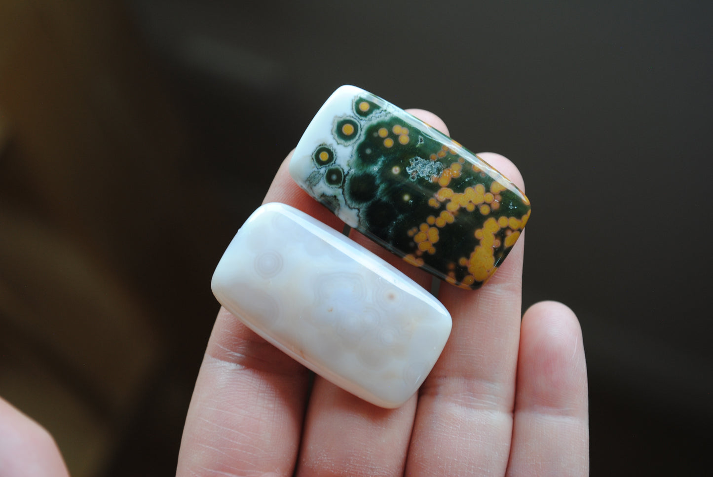 Rectangle 40x22mm Ocean Jasper cabochons