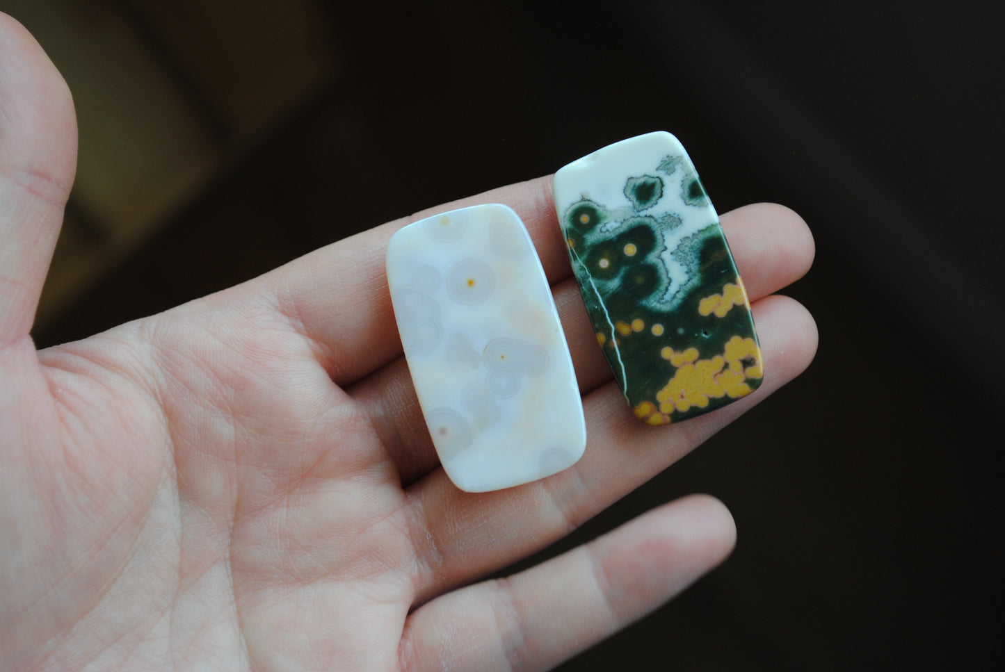 Rectangle 40x22mm Ocean Jasper cabochons