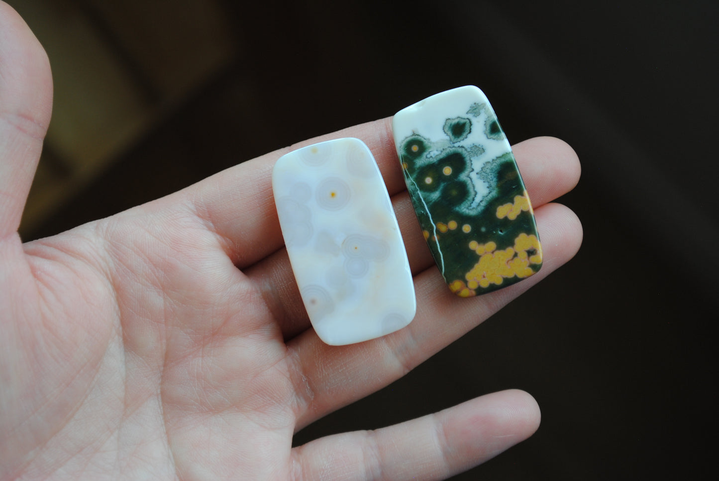 Rectangle 40x22mm Ocean Jasper cabochons