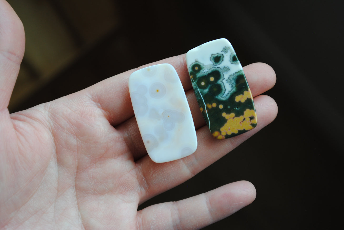 Rectangle 40x22mm Ocean Jasper cabochons