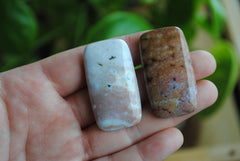Rectangle 40x22mm Ocean Jasper cabochons