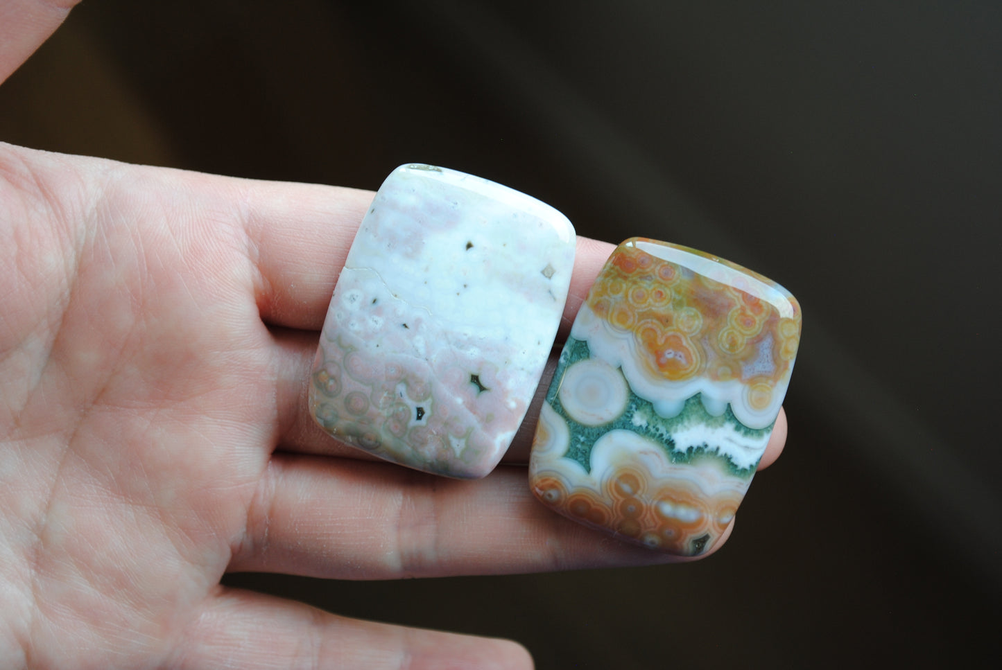 Rectangle 40x30mm Ocean Jasper cabochons