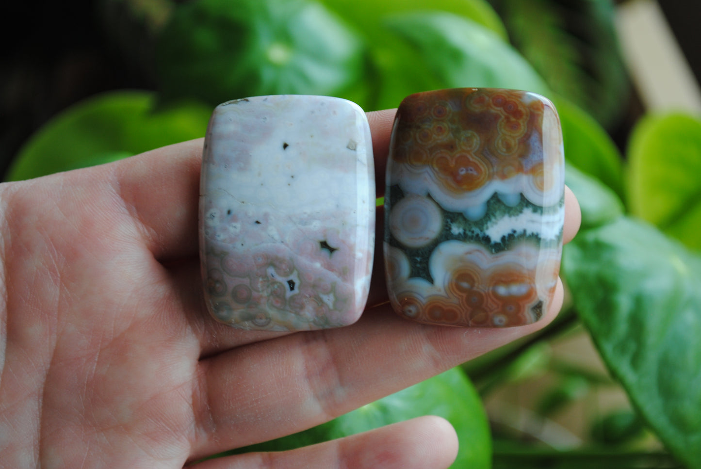 Rectangle 40x30mm Ocean Jasper cabochons