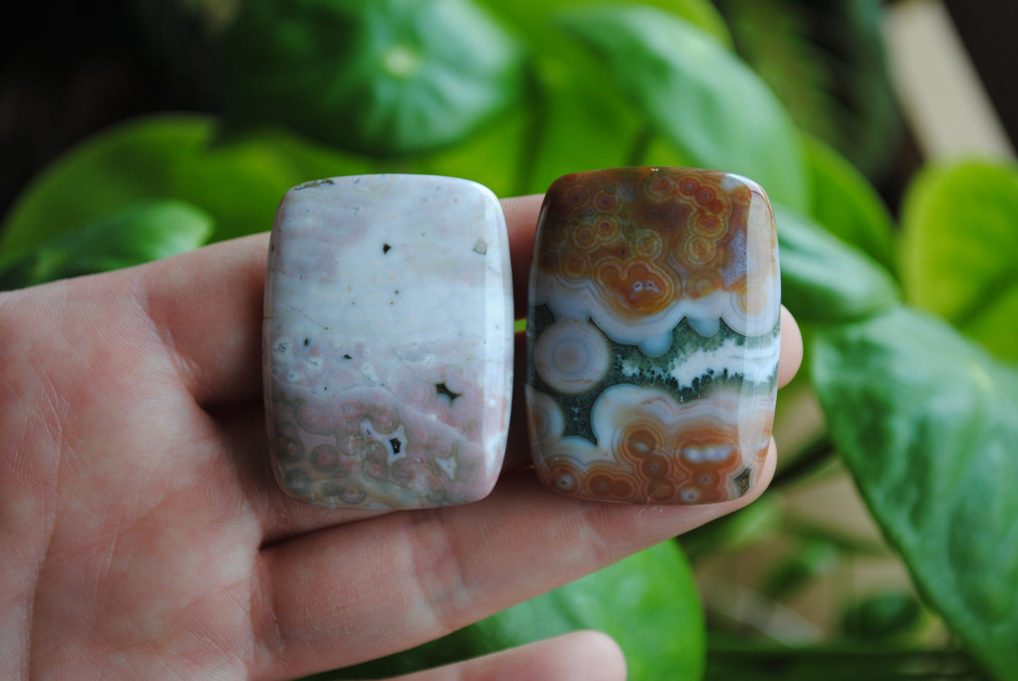 Rectangle 40x30mm Ocean Jasper cabochons