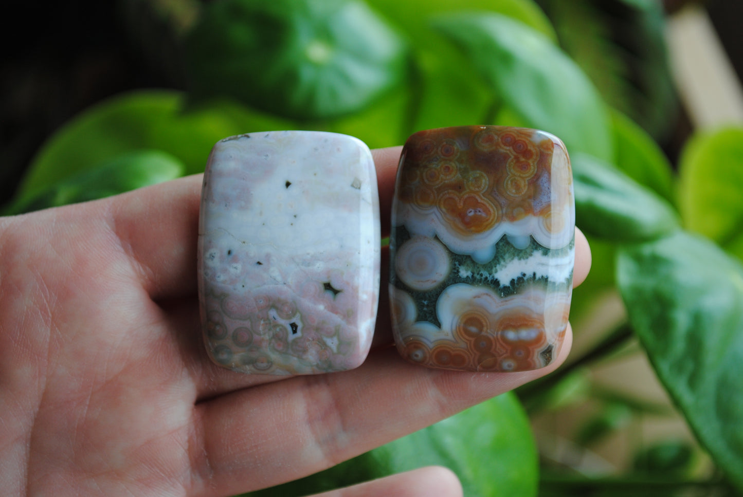 Rectangle 40x30mm Ocean Jasper cabochons