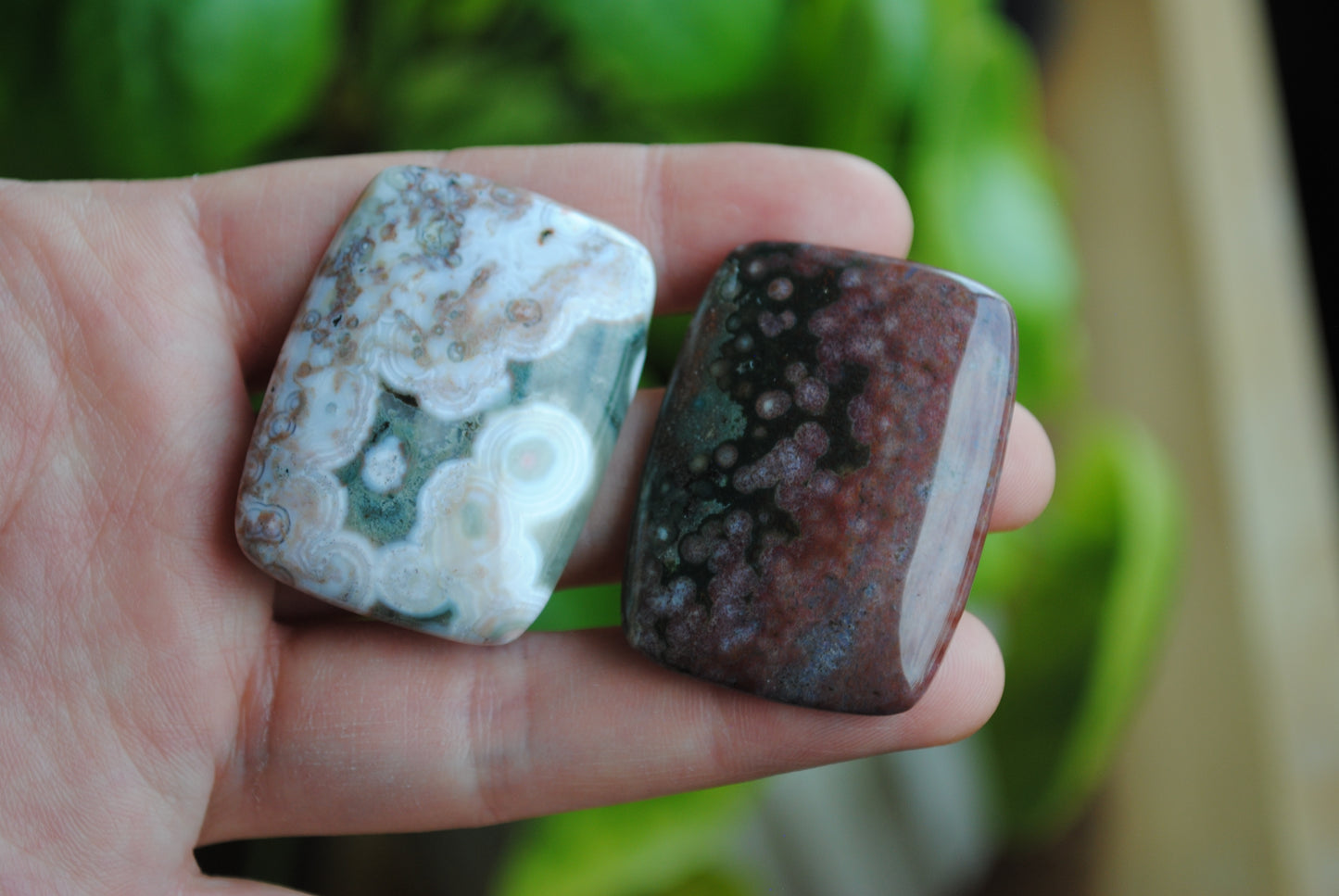 Rectangle 40x30mm Ocean Jasper cabochons