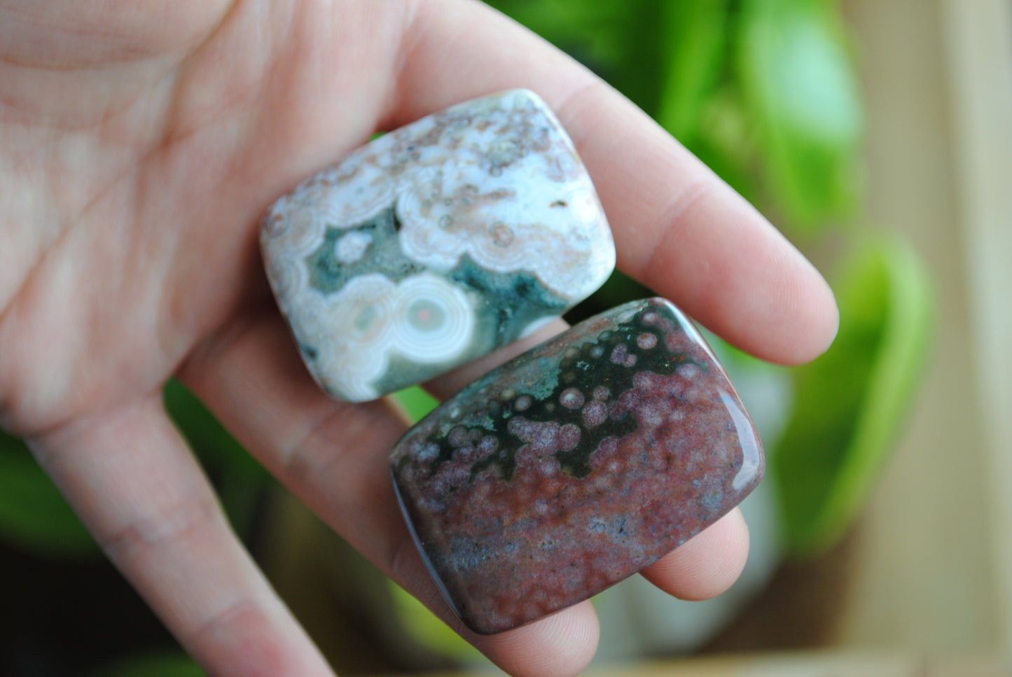 Rectangle 40x30mm Ocean Jasper cabochons