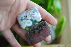 Rectangle 40x30mm Ocean Jasper cabochons