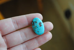 Unknown mine turquoise cabochon