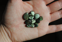 Damele variscite cabochons (Lot B)