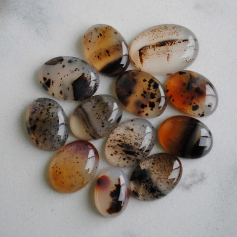 Montana agate cabochons (Lot H)